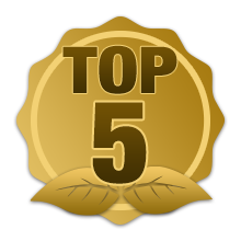 Top 5 graphic